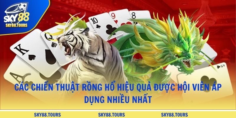 Các chiến thuật rồng hổ hiệu quả được hội viên áp dụng nhiều nhất