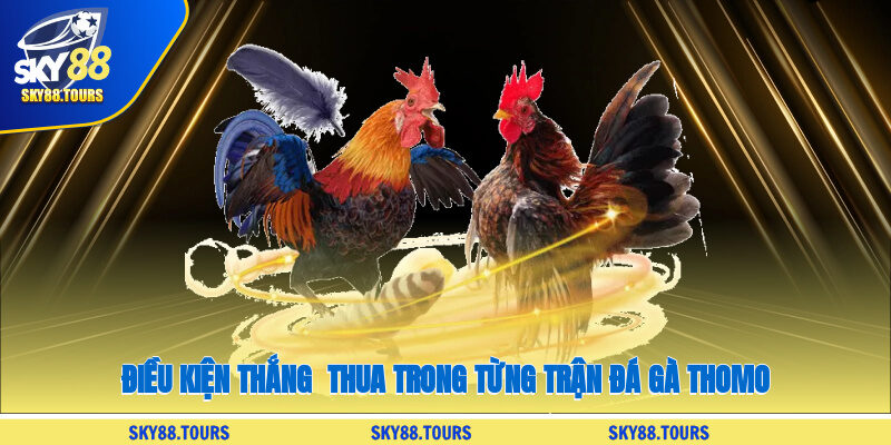 Điều kiện thắng - thua trong từng trận đá gà Thomo