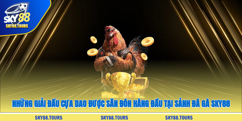 Những giải đấu cựa dao được săn đón hàng đầu tại sảnh đá gà SKY88