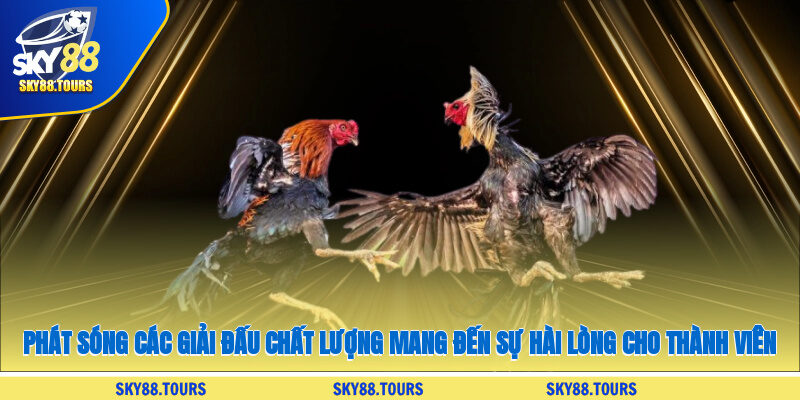 Phát sóng các giải đấu chất lượng, mang đến sự hài lòng cho thành viên