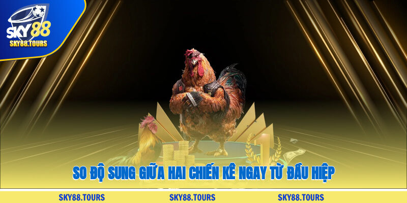 So độ sung giữa hai chiến kê ngay từ đầu hiệp