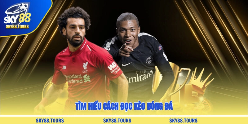 Tìm hiểu cách đọc kèo bóng đá
